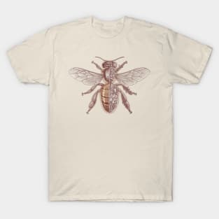 Bee anatomy T-Shirt